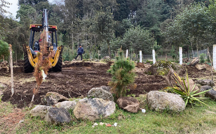 Tendrán escuela alumnos de Hueyapan