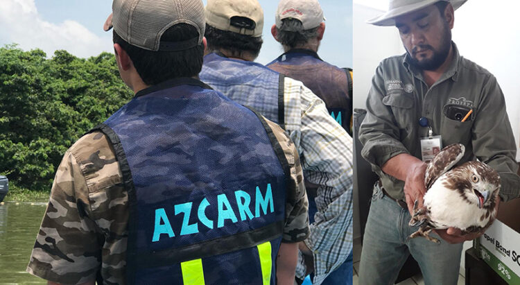 Jirafa Benito, un testimonio de los desafíos en la conservación de la fauna silvestre en México