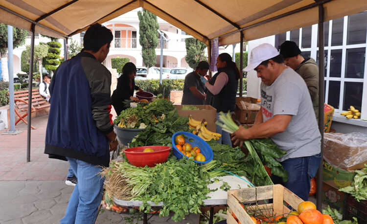 Continúan programas de canasta de verduras en Ocoyucan