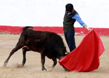 «Calita» realiza labores de tienta en Felipe González