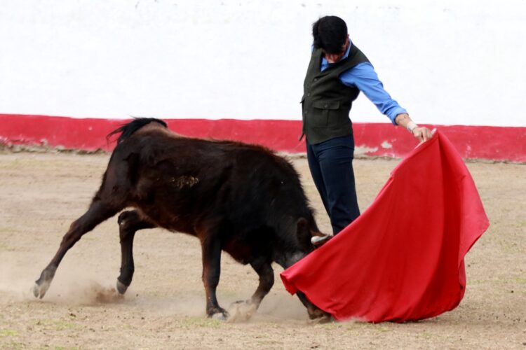 «Calita» realiza labores de tienta en Felipe González