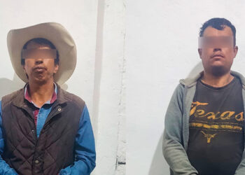 Asegura SSP camión cargado con madera de procedencia ilícita