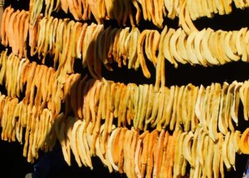 Son 13 las recetas y prácticas culinarias que resultaron ganadoras en el concurso Sabores Migrantes Comunitarios