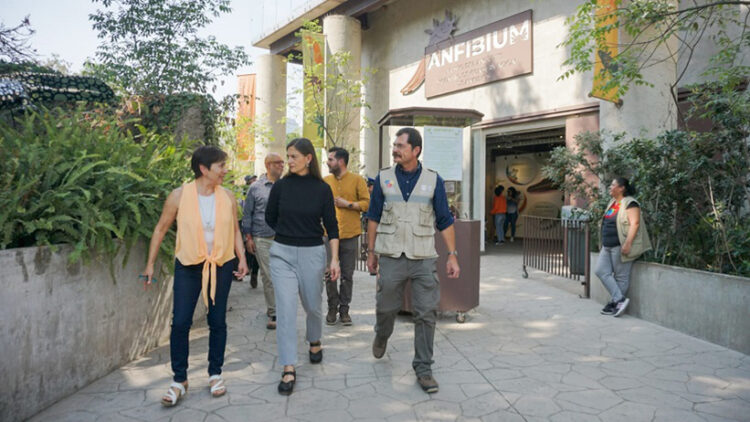 A través del Proyecto Chapultepec, Naturaleza y Cultura mejoran las instalaciones del Centro de Conservación de la Fauna Silvestre Chapultepec