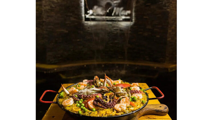 Hotel Alto Mar: Una experiencia estelar en Catia La Mar