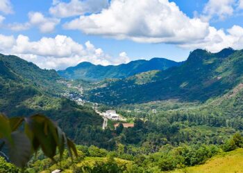 En 40 año se ha cambiado el rostro a Huitzilan