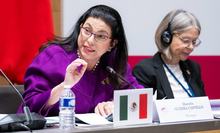 Tenemos que avanzar en una agenda legislativa que fortalezca los derechos de las mujeres a la educación, salud e igualdad económica: Marcela Guerra Castillo