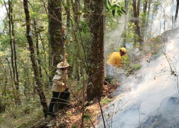 Se atiende incendio forestal en la región de Tetela de Ocampo