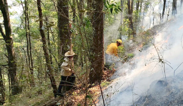 Se atiende incendio forestal en la región de Tetela de Ocampo