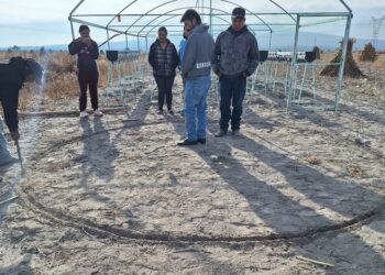 Gestionan proyecto productivo en El Seco