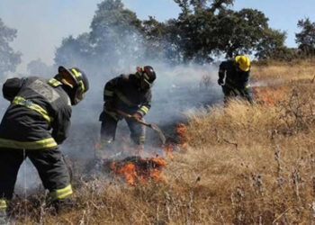 Liquidados nueve de 12 incendios registrados en Puebla