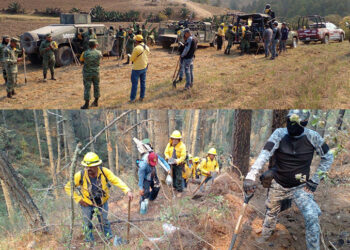 218 elementos combaten los incendios forestales que afectan el territorio poblano