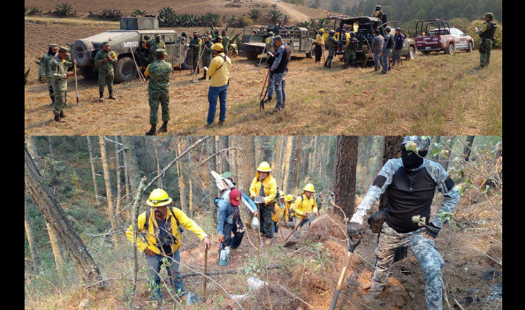 218 elementos combaten los incendios forestales que afectan el territorio poblano