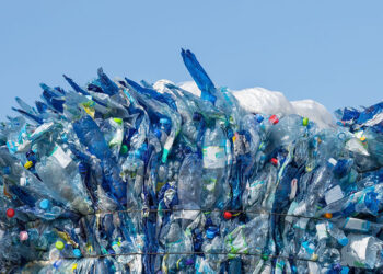 Sigue en aumento: La recuperación y reciclaje de envases de PET en México