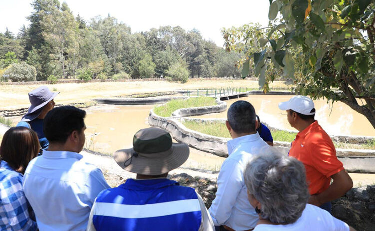 Ayuntamiento rehabilita canchas de futbol en Xonacatepec