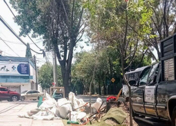 A partir de hoy inician acciones fitosanitarias en bulevar 5 de Mayo