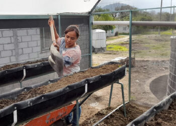 Gestionan apoyos para habitantes de la colonia pobre
