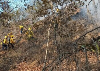 Combaten incendio forestal en Huixcolota