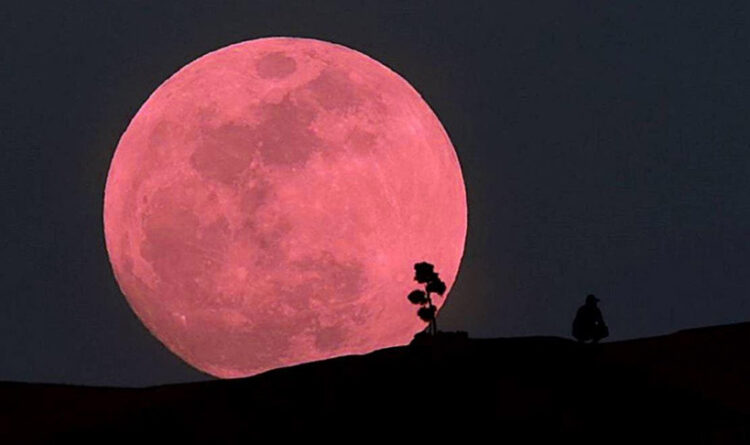 Luego del eclipse total de sol ahora el 23 la luna rosa