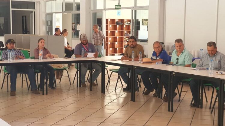 En Sierra Costa michoacana urgen a iniciar ya la etapa de reforestación; sin ella no habrá agua de lluvia que se filtre en el suelo