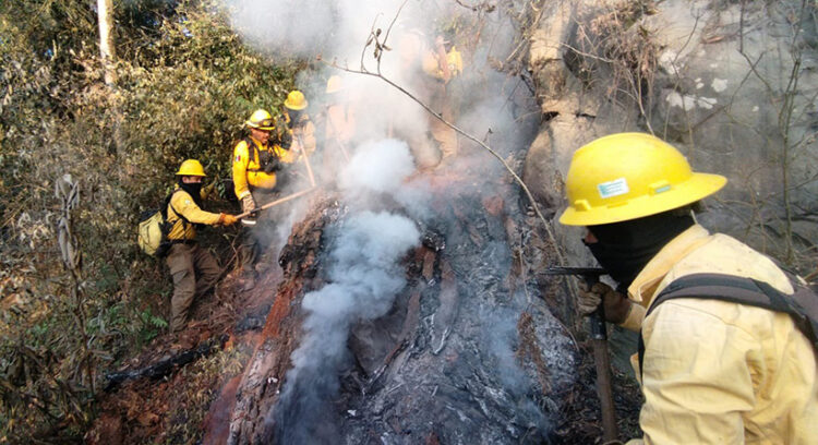 Controlado el incendio forestal en el municipio de Chilchotla