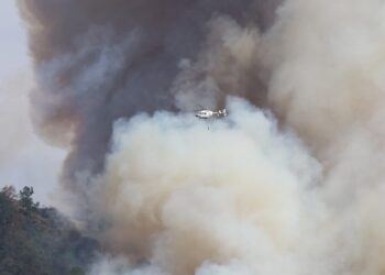 Gobierno acompañará a Ediles a presentar denuncias contra responsables de incendios forestales