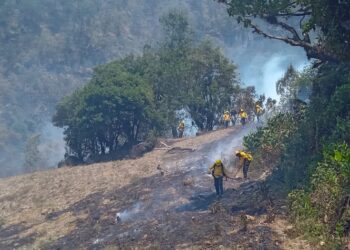 Atípica jornada de incendios; en últimas 24 horas hubo 17: Medio Ambiente