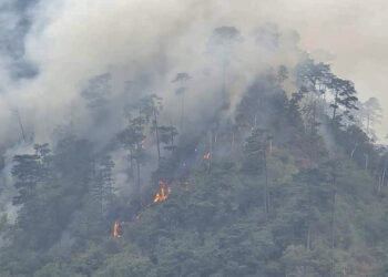 Apoyo y solidaridad en la lucha contra los incendios forestales en Huitzilan de Serdán