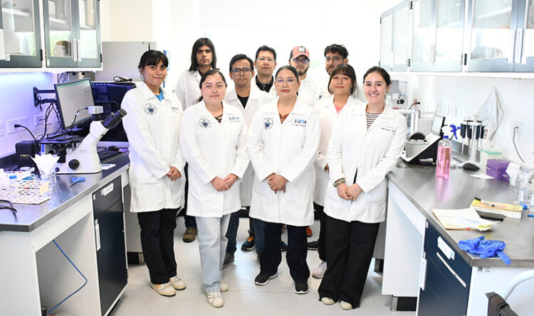Desarrollan en la BUAP sensor microfluídico de papel para la detección de iones de arsénico