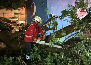 Inundaciones, árboles caídos dejó la lluvia en la capital poblana