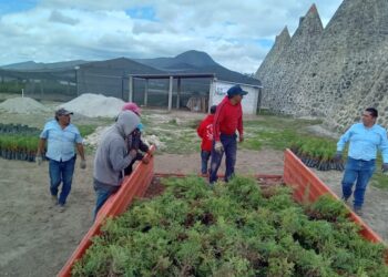Granjas Carroll dona árboles en Perote, Tlachichuca y Tepeyahualco