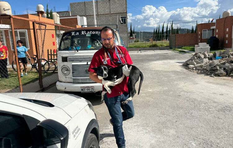 Asegura IBA al canino encadenado a combi en Amozoc