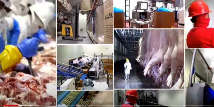 Granjas Carroll, contribuye a la seguridad alimentaria nacional, al satisfacer demanda de carne de cerdo
