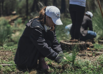 Súper Copa Roshfrans llevó a cabo reforestación para mitigar la huella de carbono