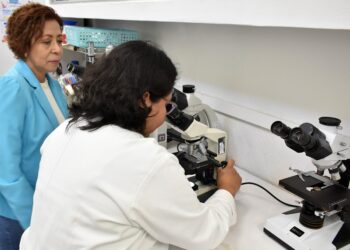Extractos de pápalo y pipicha inhiben crecimiento de bacterias patógenas