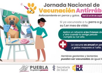 Anuncia Salud reforzamiento de vacunación antirrábica para perros y gatos