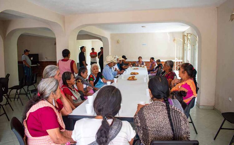 Estancia para adultos mayores, compañerismo y trabajo en colectivo