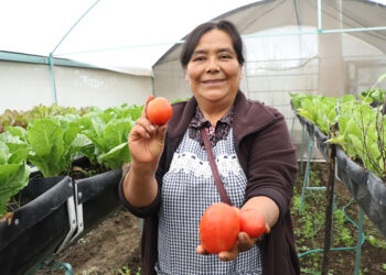 Con Módulos de Autosuficiencia, Bienestar combate carencia alimentaria