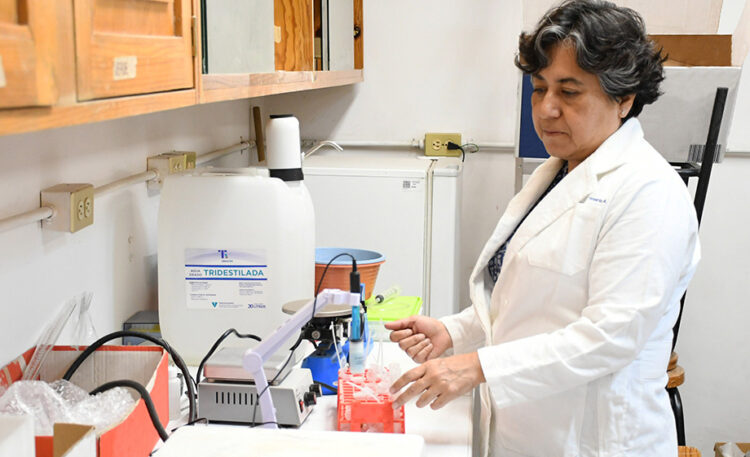 Investigadores detectan metales pesados en polvo de las calles de la ciudad de Puebla