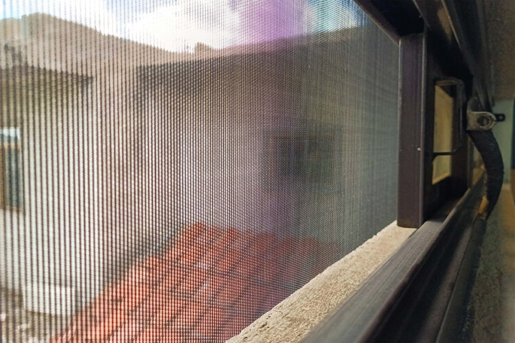 Sin contagios ni defunciones por dengue en las últimas 24 horas: Salud