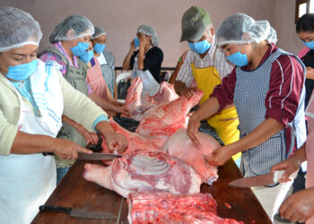 Granjas Carroll impulsa la economía regional en localidades de Veracruz y Puebla