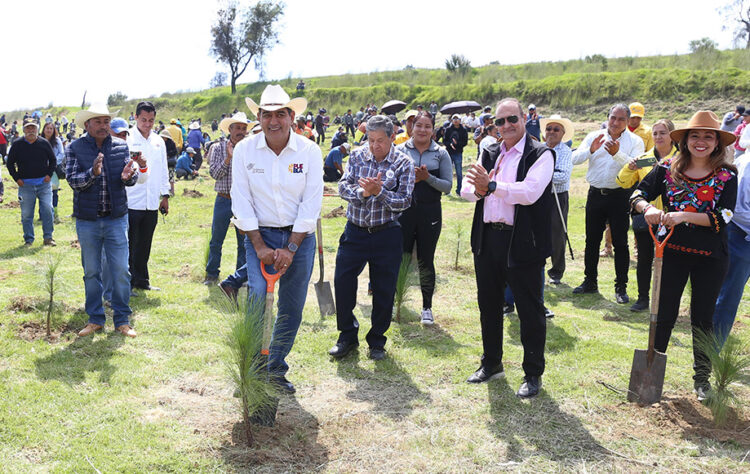 Cumple gobierno de Sergio Salomón meta del plan reforestación