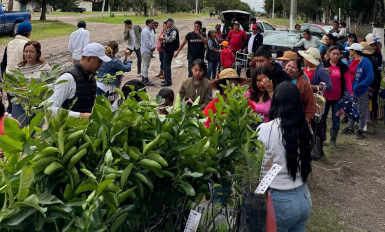 Sembremos Esperanza llega a su novena jornada; es un respiro verde para Puebla