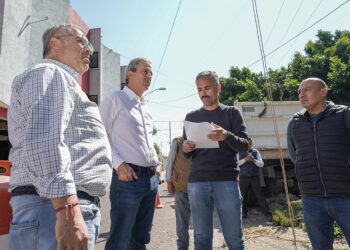Pepe Chedraui atendió caída de un árbol en la colonia Resurgimiento