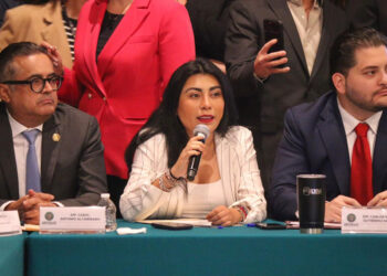 Reformas en favor de los adultos mayores y el acceso a la vivienda; Nora Escamilla