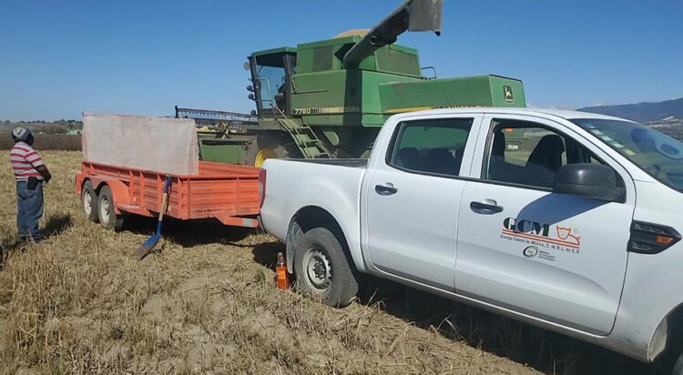 Granjas Carroll ofrece comprar 6 mil toneladas de cebada en apoyo a productores locales