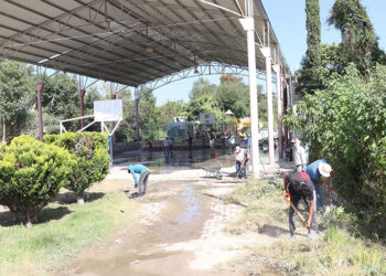 Inicia jornadas de limpieza y fumigación en Ahuatempan