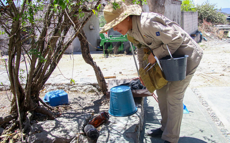 Puebla, sin contagios ni defunciones por dengue en últimas 24 horas