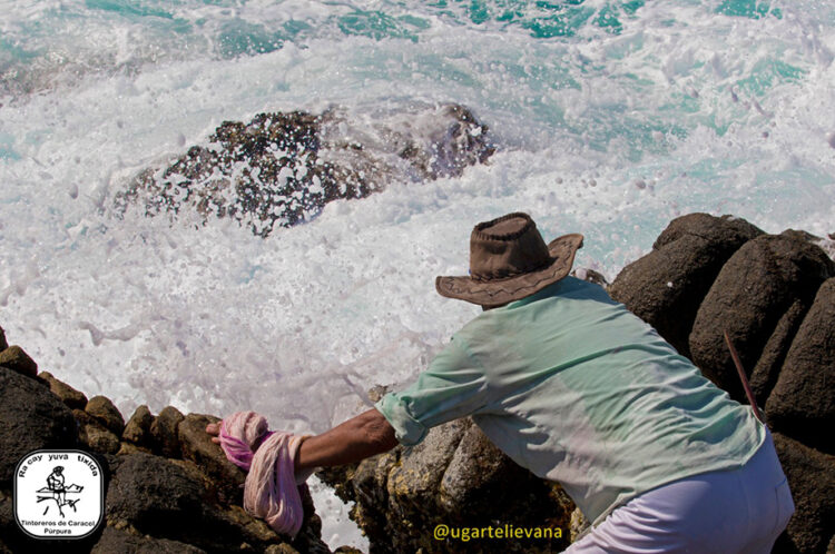Mauro Habacuc Avendaño Luis, tintorero de hilo con caracol púrpura
