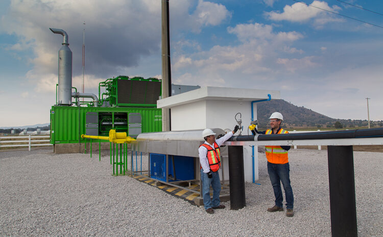 Agricultura Sustentable de Granjas Carroll reduce impacto ambiental en sus instalaciones